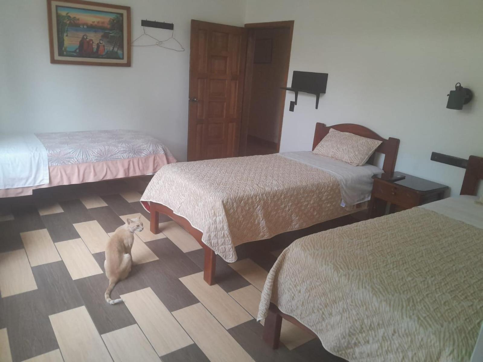 Hostal Limoncocha Tena Kültér fotó